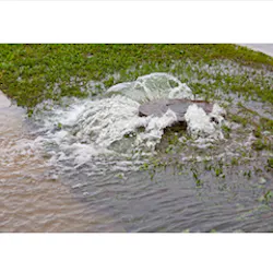 1655327586772 Telog Ps Ru33 1655327586772 Telog Ps Ru33