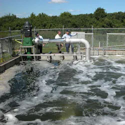 1655327615198 Unnamed 5 0 1655327615198 Unnamed 5 0