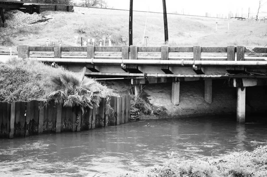 1655327617746 Pasadenatexas