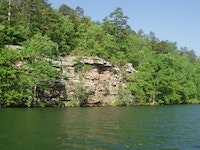 1655327638973 Wwd Arkansas 0