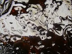 1655327654648 Oilspill 2 1655327654648 Oilspill 2