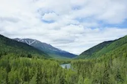 1655327706018 Alaska 1 1655327706018 Alaska 1