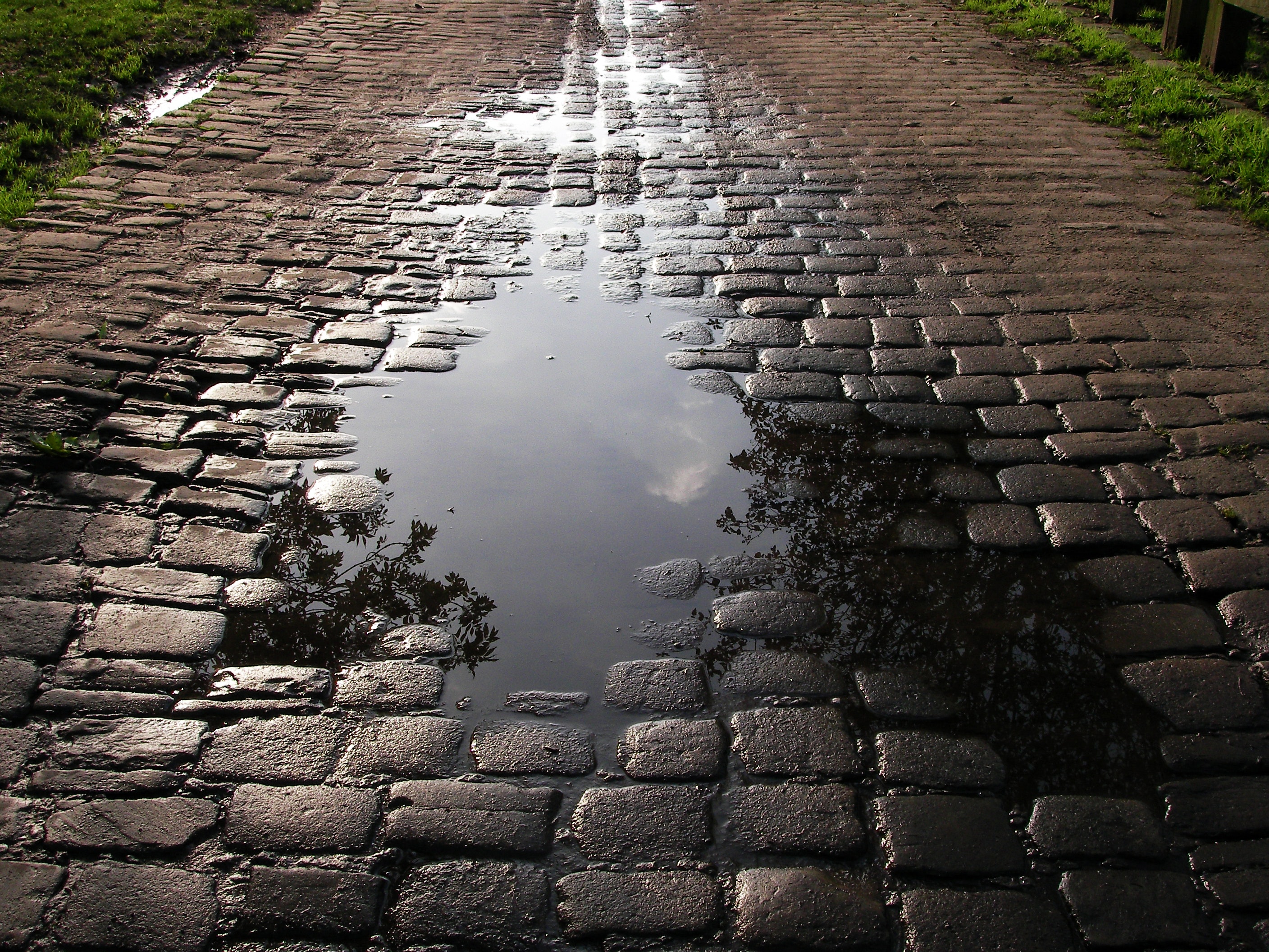 1655327719322 1100487 86471013