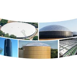 1655327730304 Cstdomesstoragecovers082117 0 1655327730304 Cstdomesstoragecovers082117 0