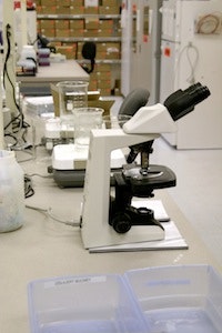 lab_2