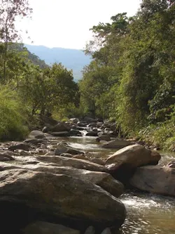 1655327794802 River8 1655327794802 River8