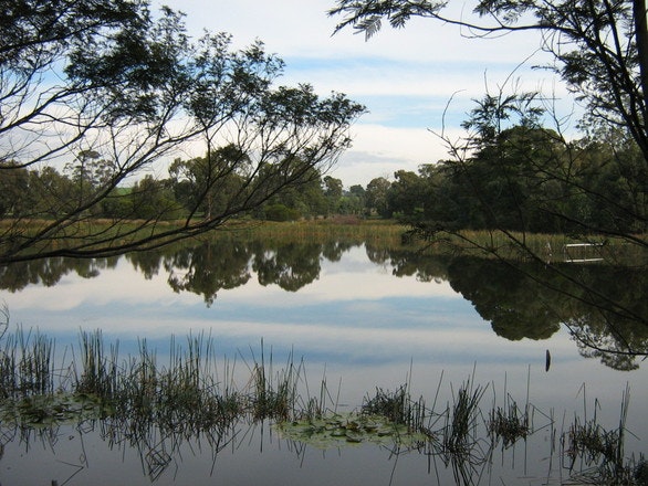 1655327809757 Wetland