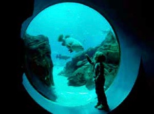 Wedeco CS Atlanta GA