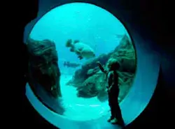 1655327847598 Wedeco Cs Atlanta Ga 1655327847598 Wedeco Cs Atlanta Ga