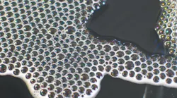 bubbles-1528295 bubbles-1528295