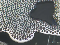 1655327898356 Bubbles1528295 1655327898356 Bubbles1528295