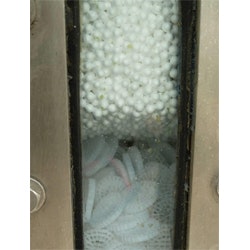 Kruger PS Biostyr Duo