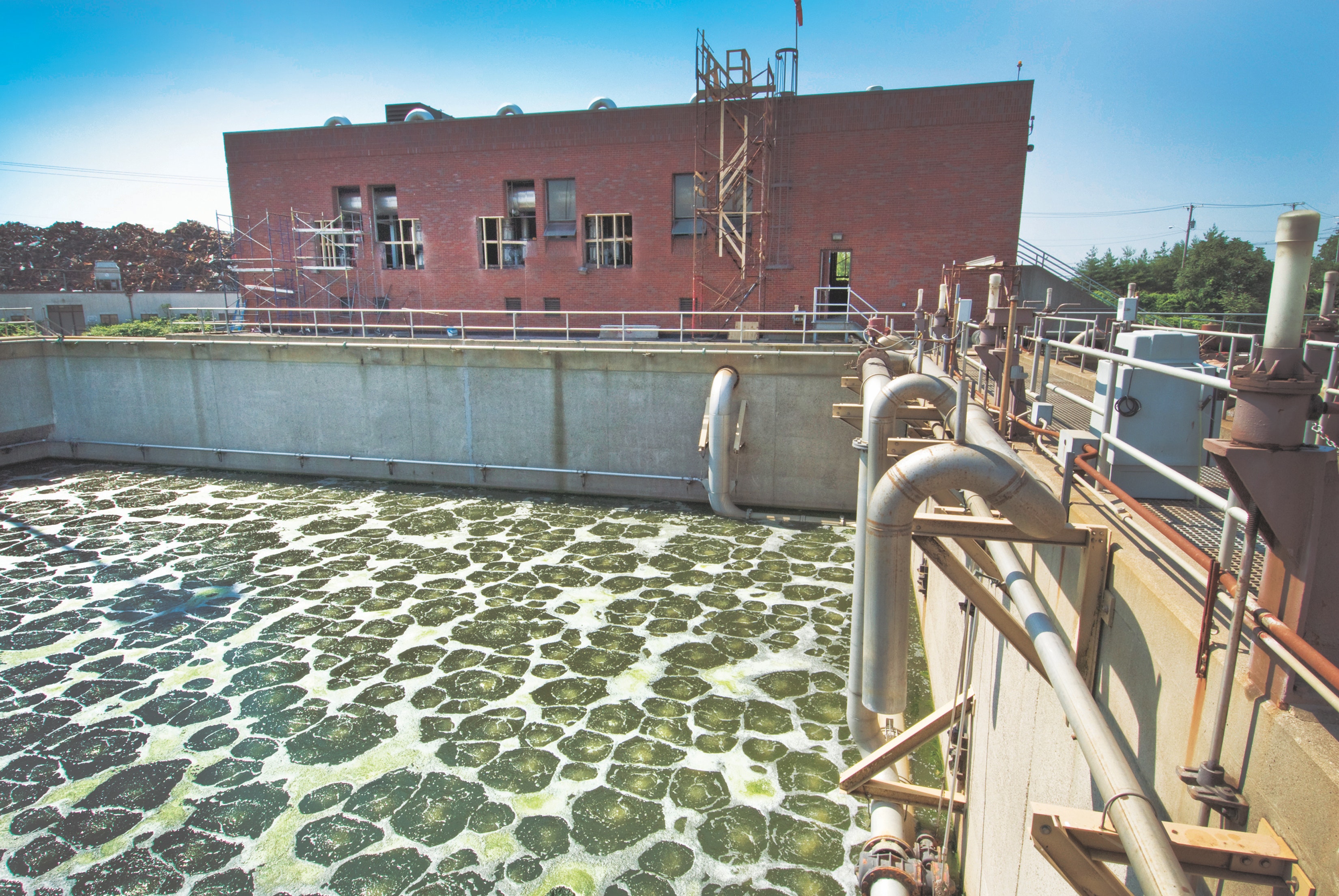 1655327918147 Nbc Ifas