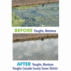 1655327931904 Sonic Solutions Ps Guide