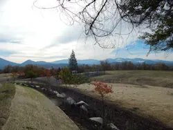 1655327969048 Dn Cs Grants Pass Or 1 1655327969048 Dn Cs Grants Pass Or 1