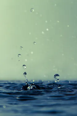 1655327969762 6 1655327969762 6