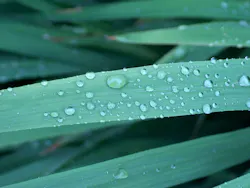 1655327985472 7 1655327985472 7