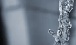 1655328020328 9 1655328020328 9