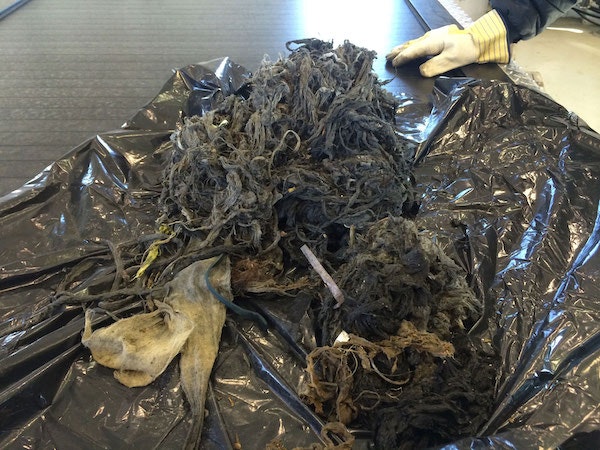 1655328023350 Jwc Wonderlandpumpstation 02