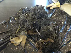 1655328023350 Jwc Wonderlandpumpstation 02 1655328023350 Jwc Wonderlandpumpstation 02