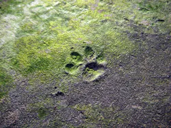 1655328040189 11 1655328040189 11