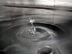 1655328046058 1 1655328046058 1