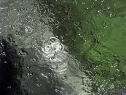 1655328050974 11 1655328050974 11