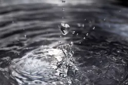 1655328050979 11 1655328050979 11