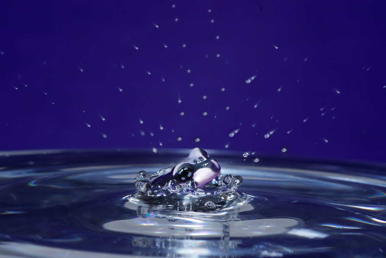 12.7 blue-corona-1211435-1279x852