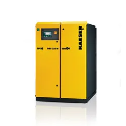 1655328055597 Kaeser Ps Dbs 0 1655328055597 Kaeser Ps Dbs 0