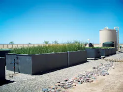 1655328058195 Pilot Wetlands 1 1655328058195 Pilot Wetlands 1