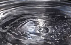 1655328060902 12 1655328060902 12