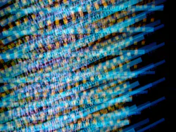 1655328068894 1 1655328068894 1