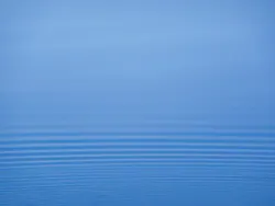 1655328072358 1 1655328072358 1