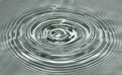 1655328120138 5 1655328120138 5