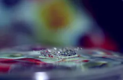 1655328133166 5 1655328133166 5