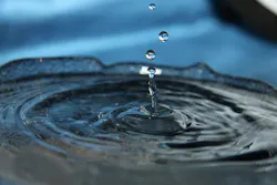 1655328138042 6 1655328138042 6