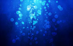 1655328139899 6 1655328139899 6