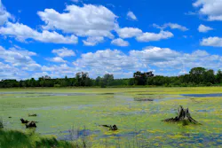 1655328149074 7 1655328149074 7