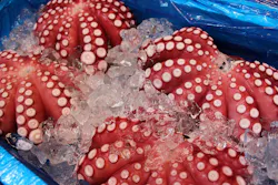 1655328156777 7 1655328156777 7