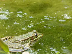 1655328179134 10 1655328179134 10