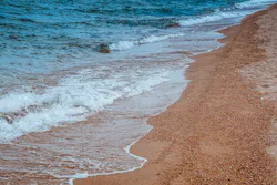 1655328197529 11 1655328197529 11