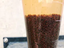 1655328197642 Ovivosidestreamtreatment121917 1655328197642 Ovivosidestreamtreatment121917