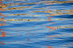 1655328215912 Water3179380 960 720 1655328215912 Water3179380 960 720