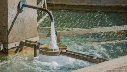 1655328259062 Faucet744613 960 720 1655328259062 Faucet744613 960 720