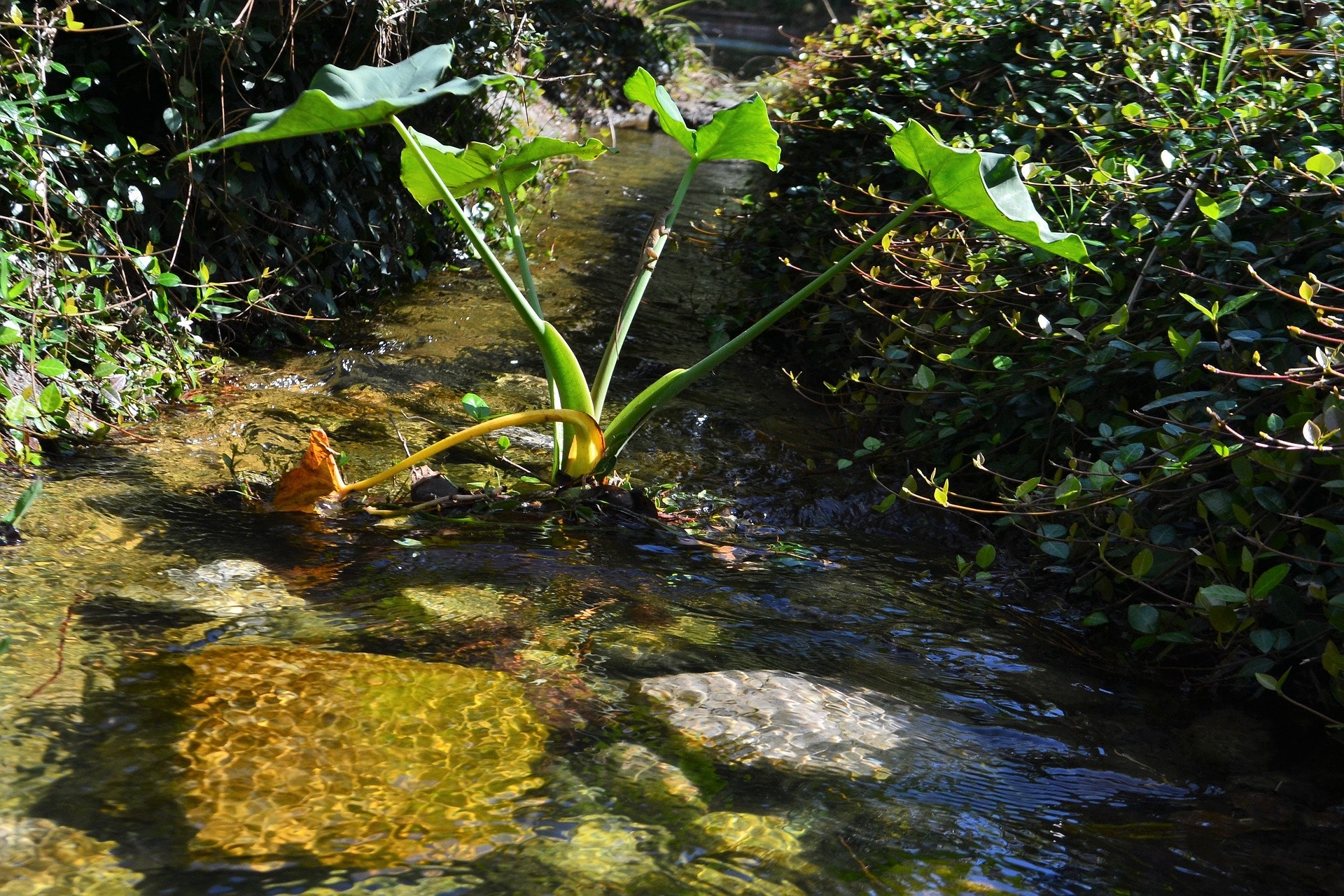 1655328298365 Texasstream