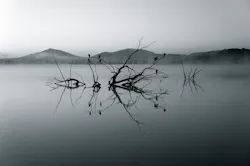 1655328299870 Studyrevealsfarmers 1655328299870 Studyrevealsfarmers