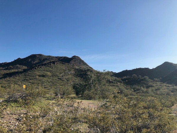 1655328378286 Browncaldwell