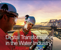 Screen Shot 2019-07-16 at 8.00.04 PM_0