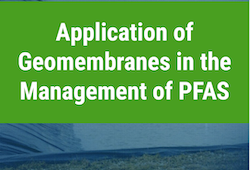 Screen Shot 2019-07-17 at 10.57.34 AM